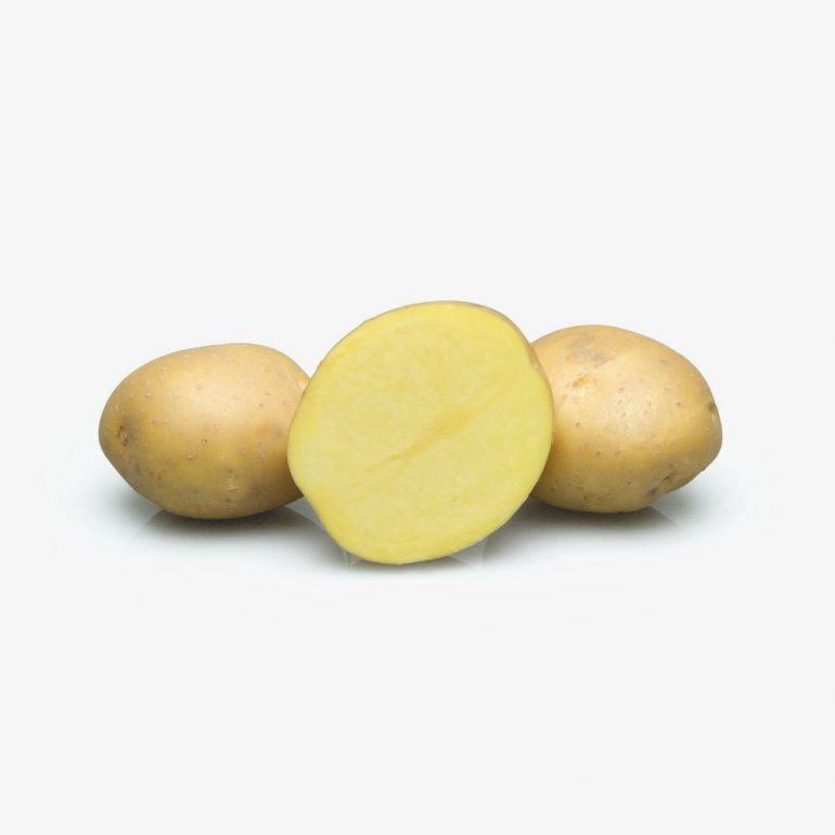 product-13
